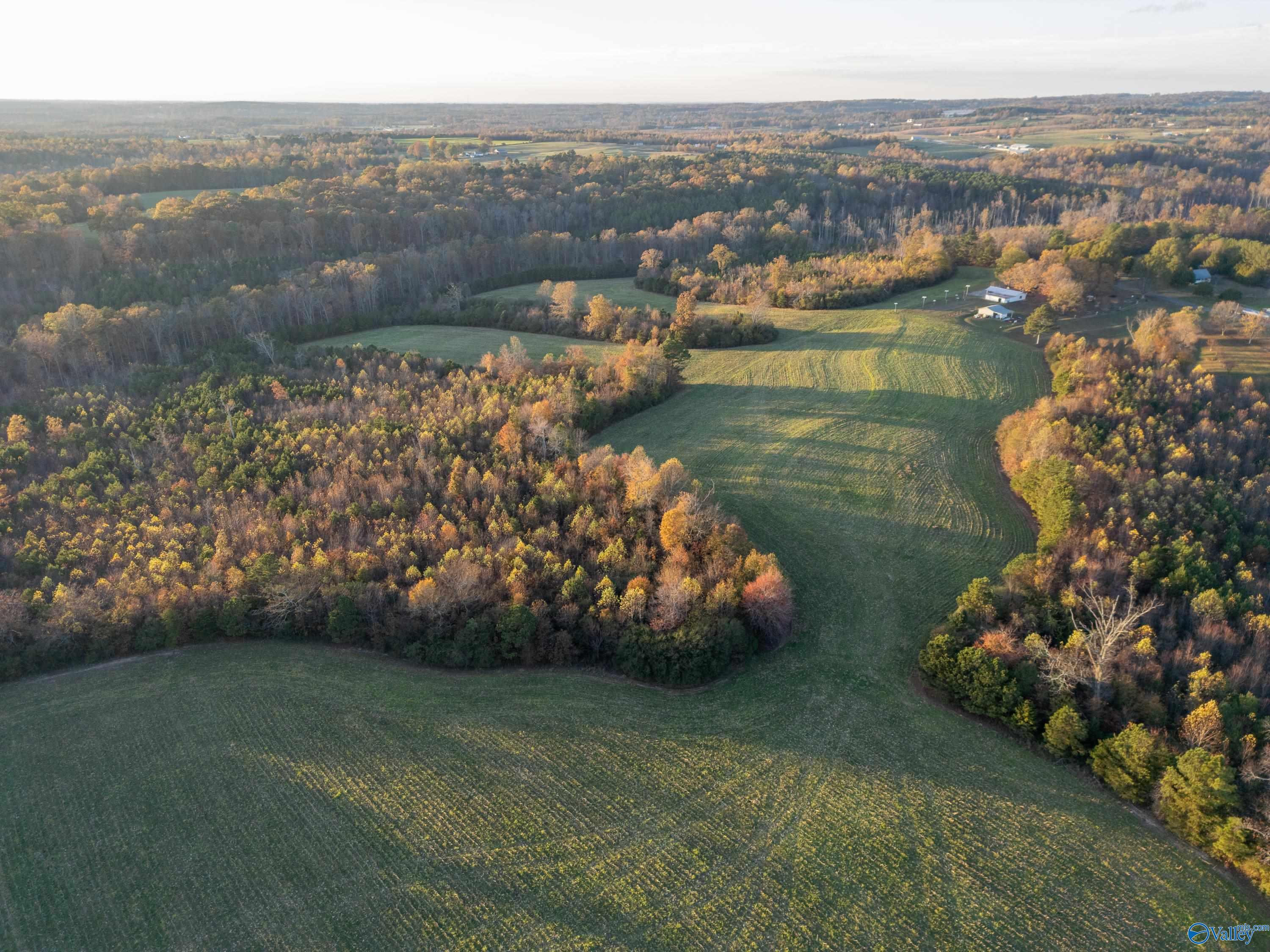 198 Acres County Road 143, Valley Head, Alabama image 23