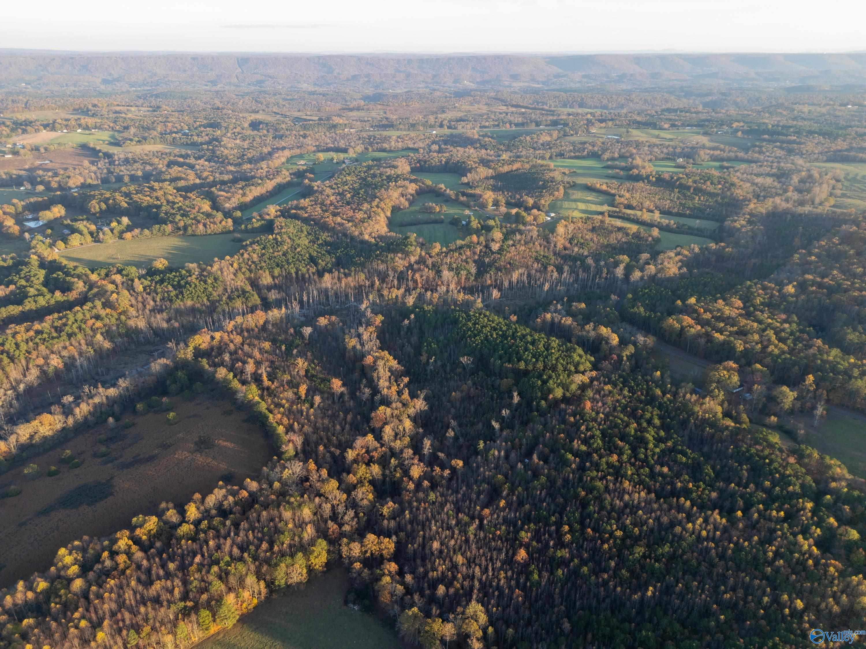 198 Acres County Road 143, Valley Head, Alabama image 14