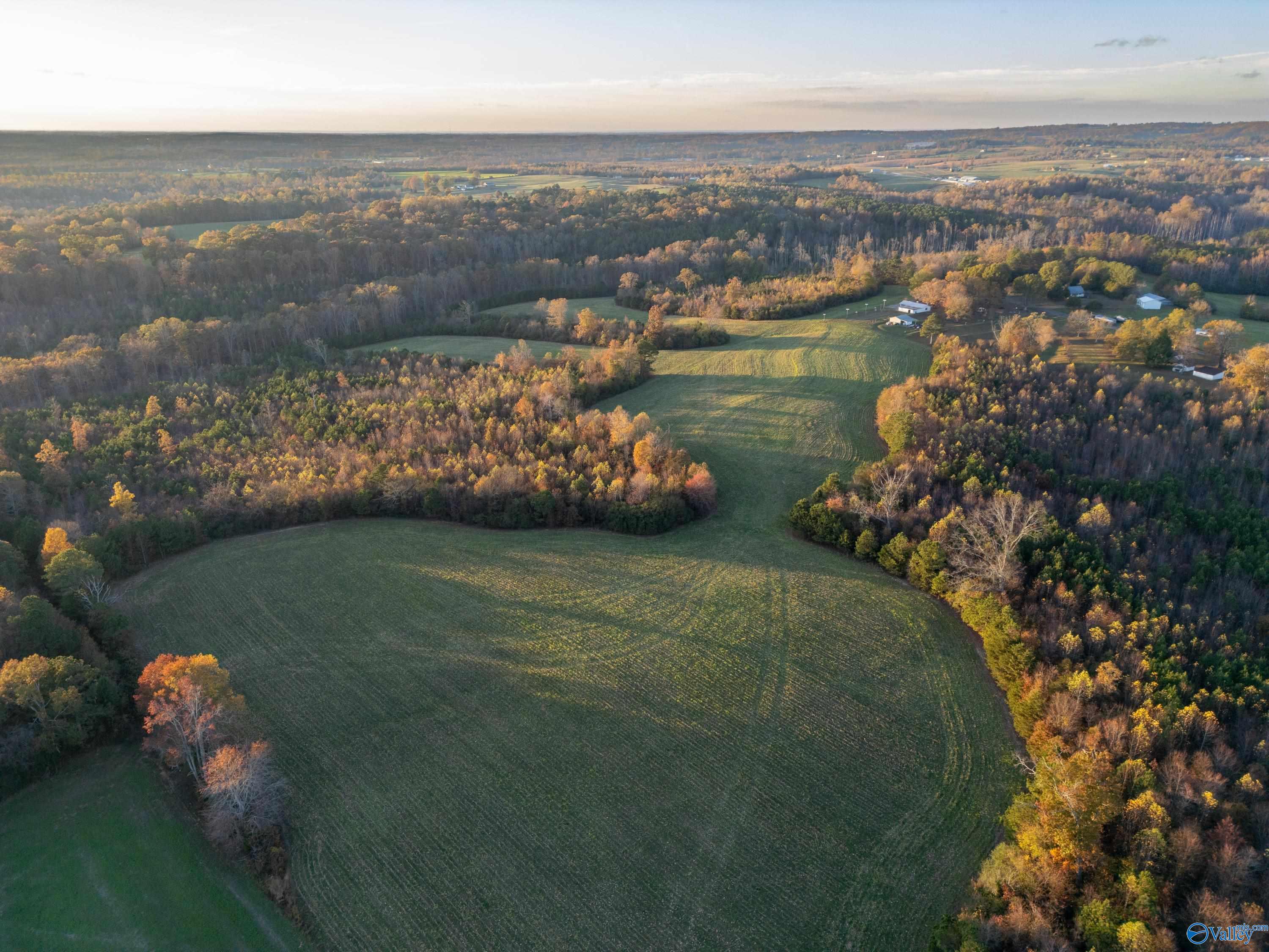 198 Acres County Road 143, Valley Head, Alabama image 1