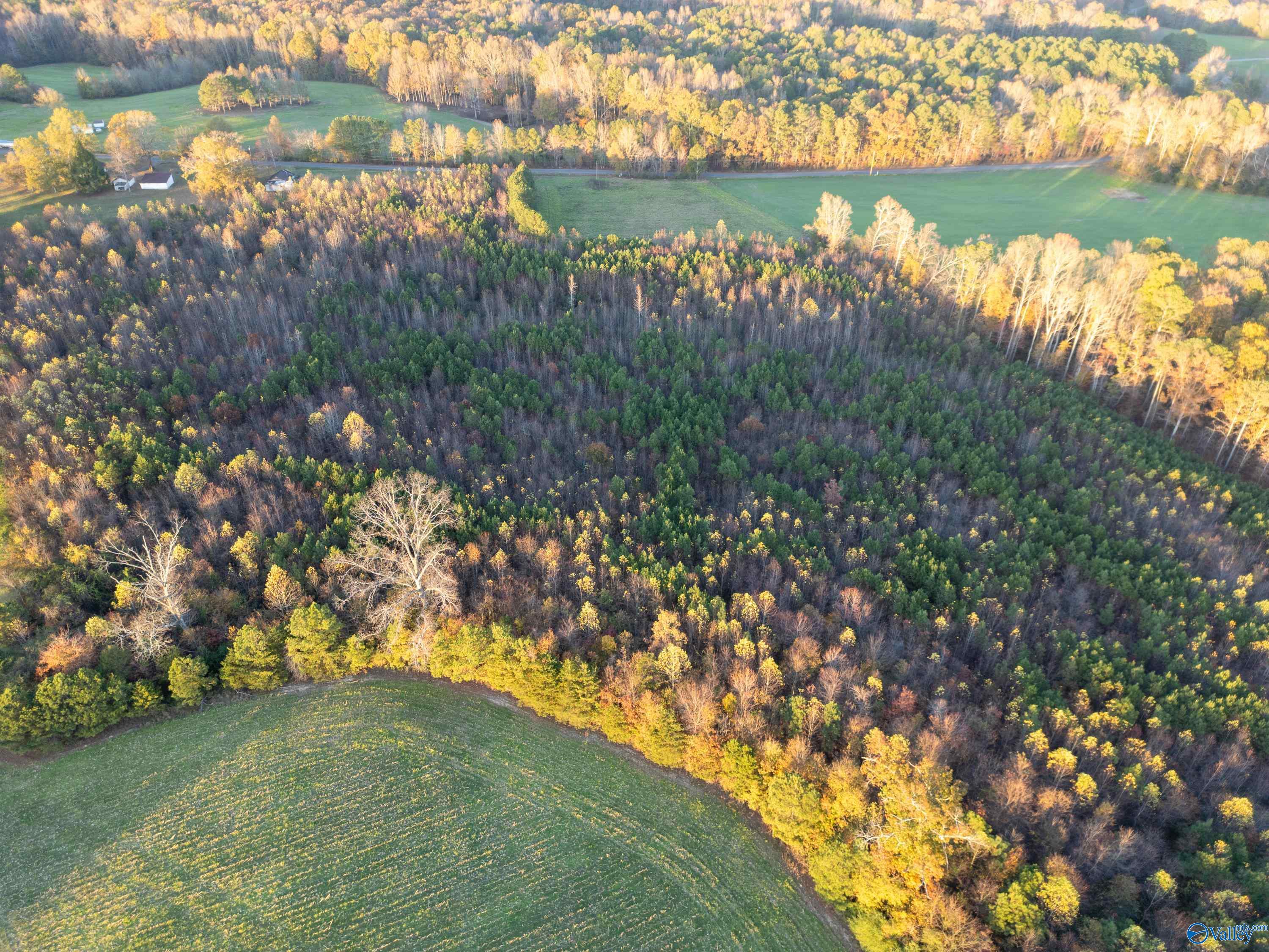 198 Acres County Road 143, Valley Head, Alabama image 22