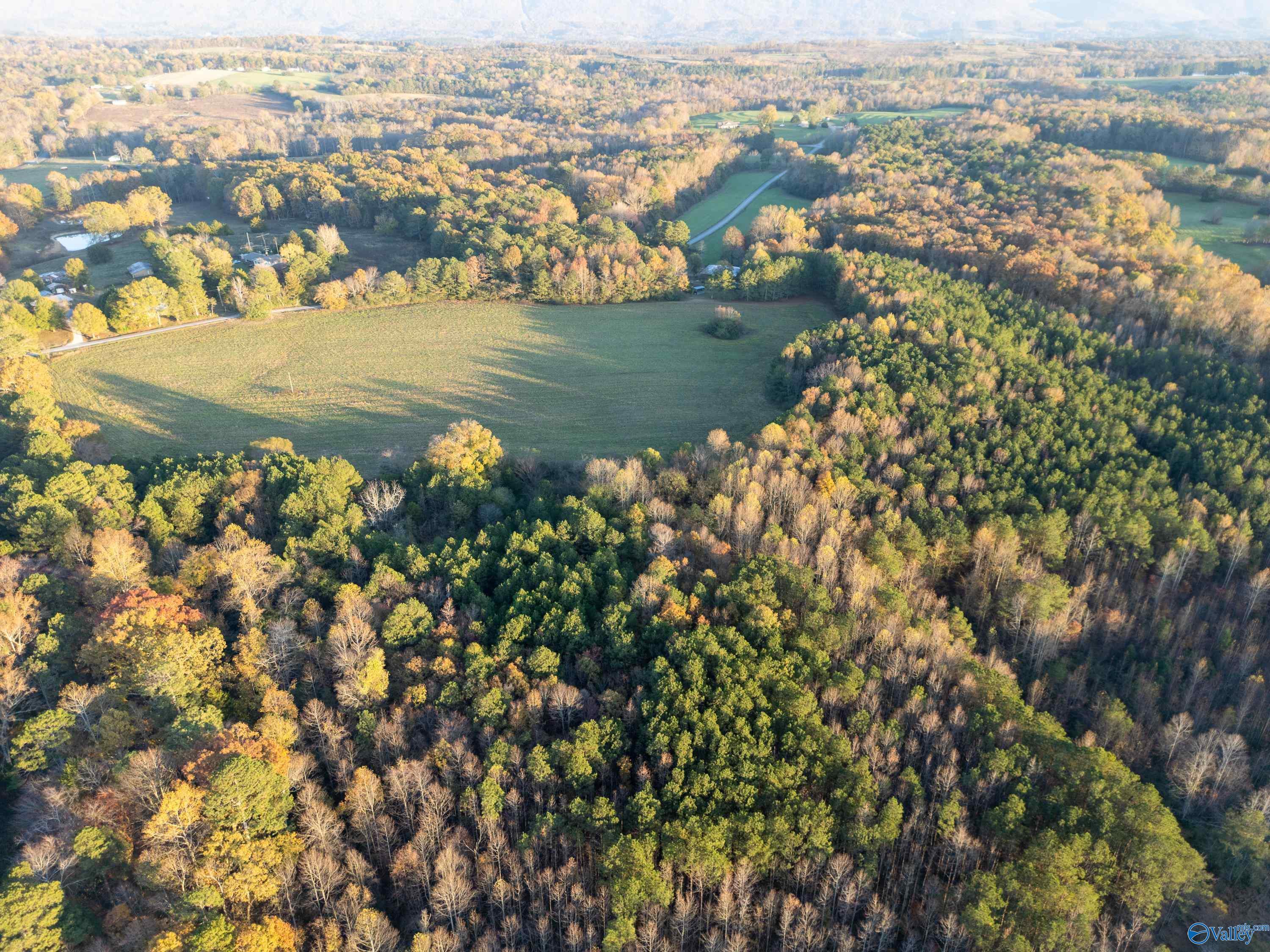 198 Acres County Road 143, Valley Head, Alabama image 10