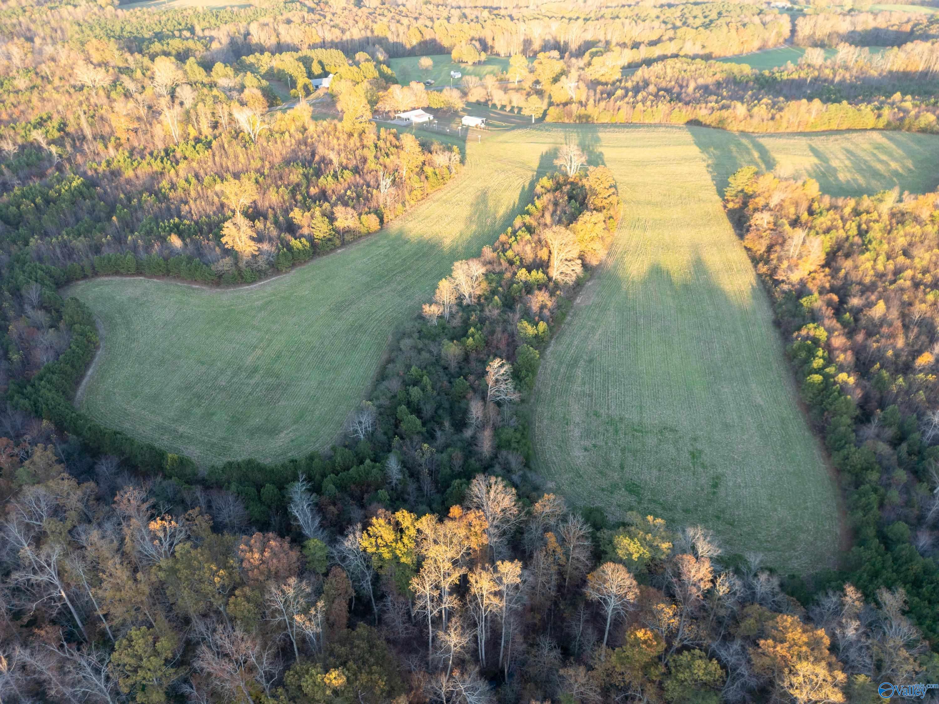 198 Acres County Road 143, Valley Head, Alabama image 19