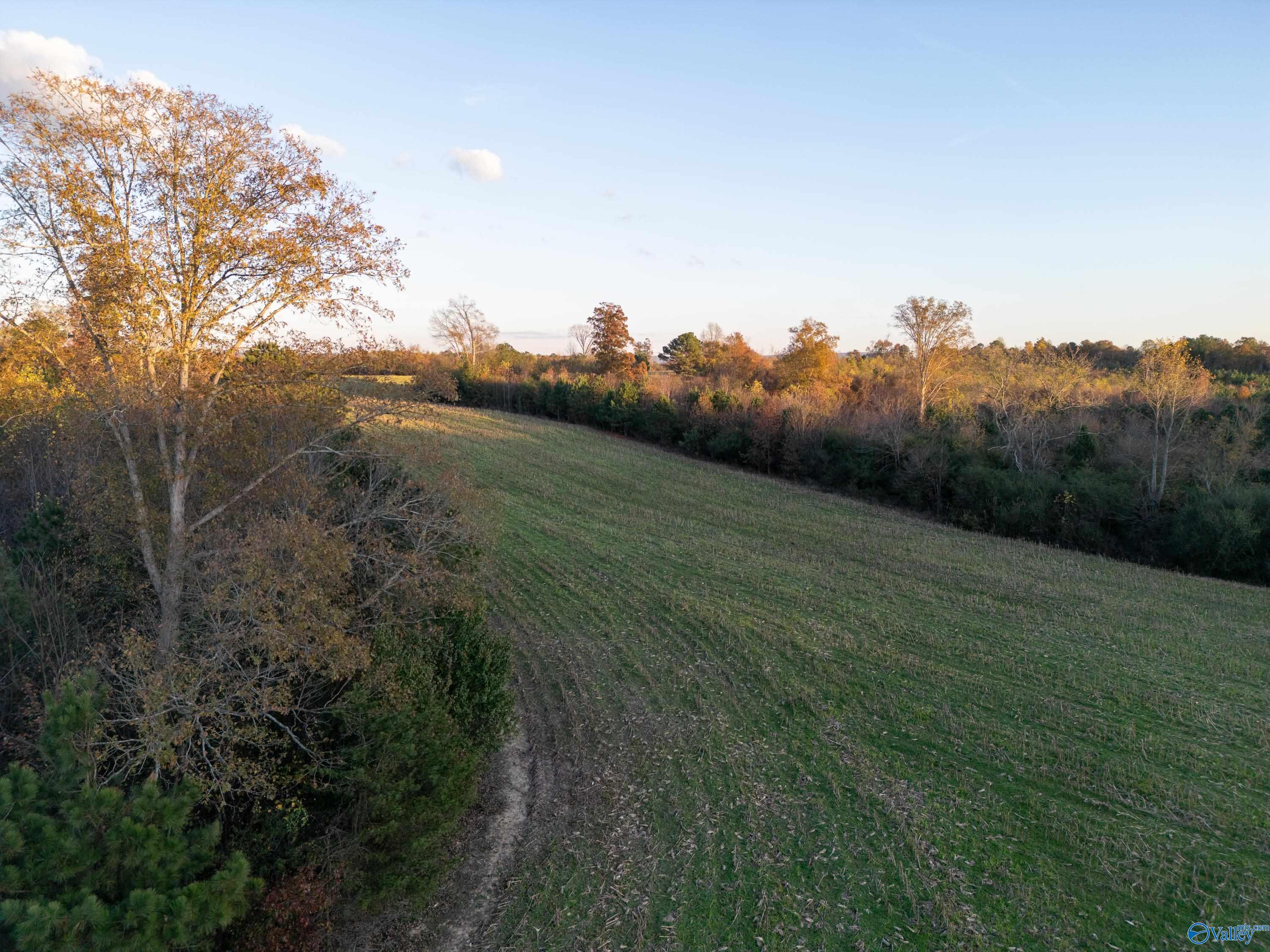 198 Acres County Road 143, Valley Head, Alabama image 26