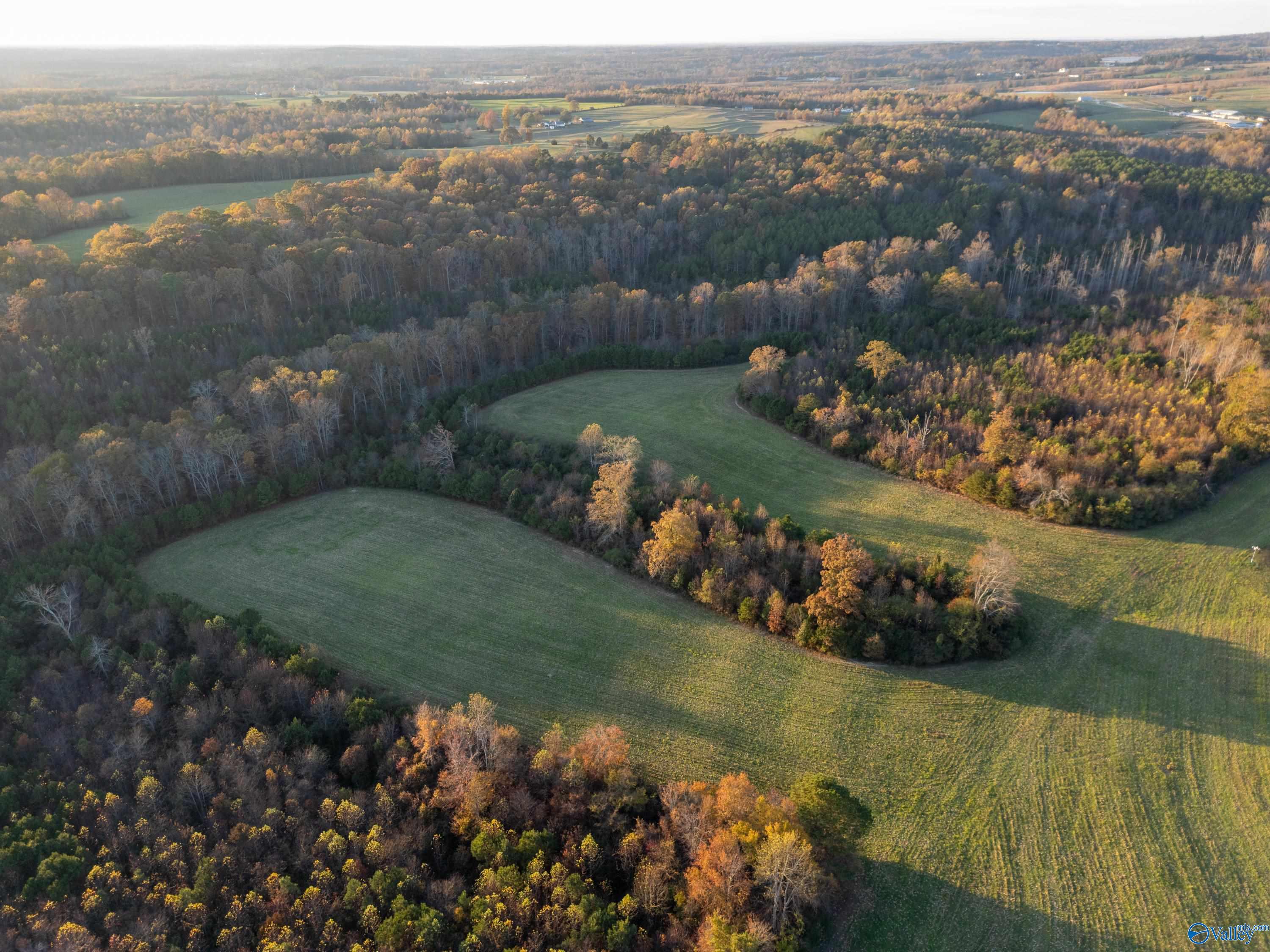 198 Acres County Road 143, Valley Head, Alabama image 24