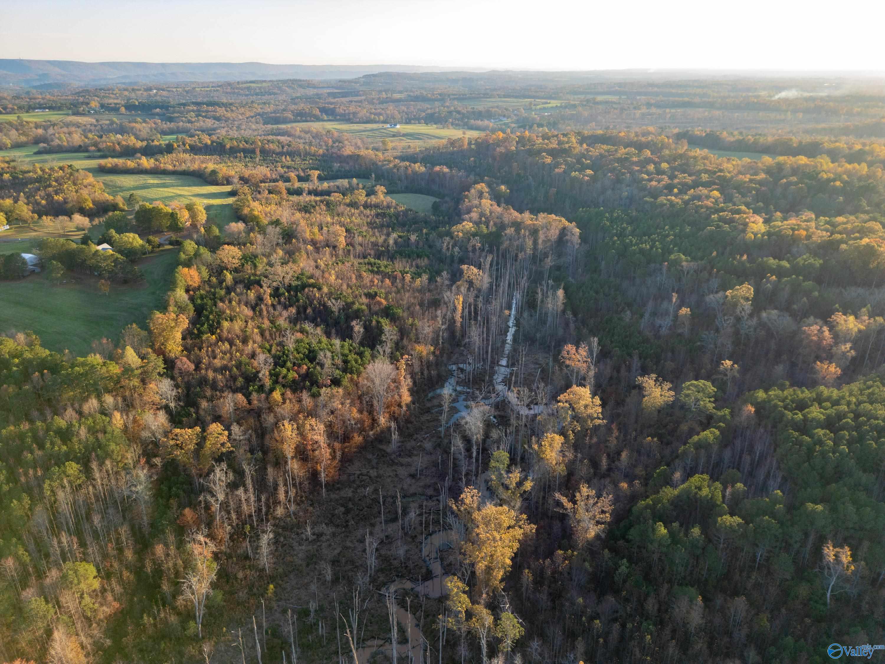 198 Acres County Road 143, Valley Head, Alabama image 8