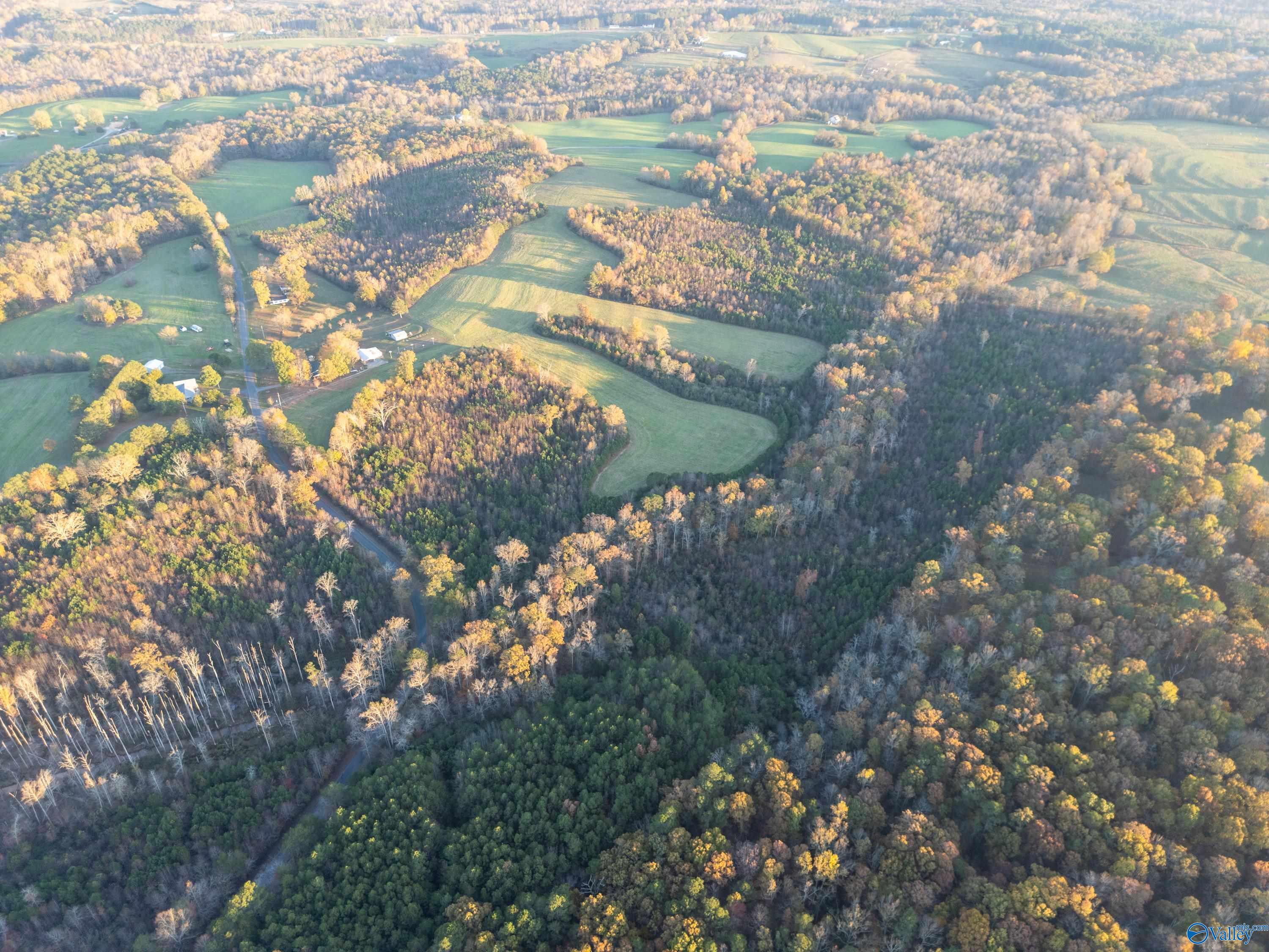 198 Acres County Road 143, Valley Head, Alabama image 16