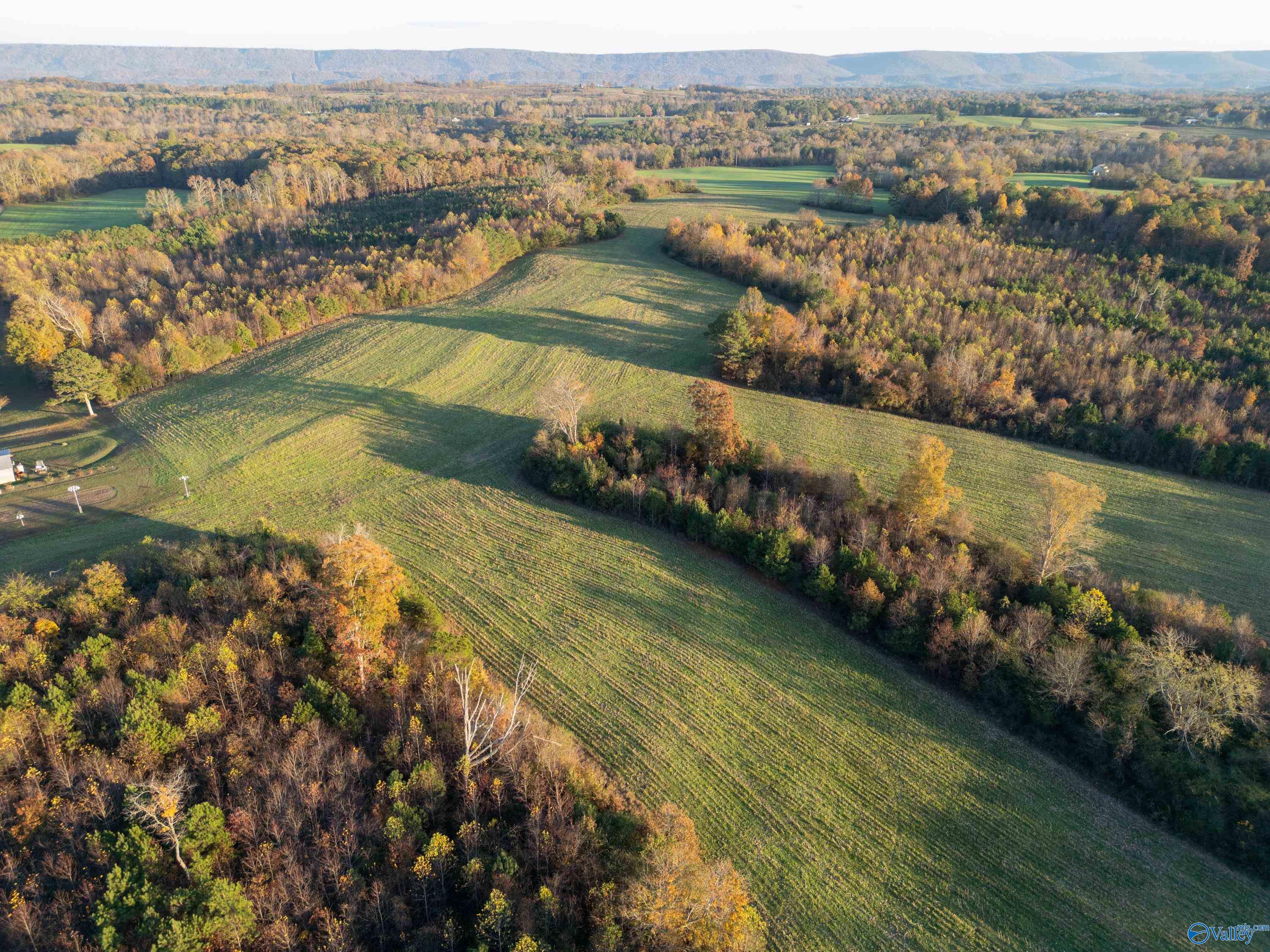 198 Acres County Road 143, Valley Head, Alabama image 2