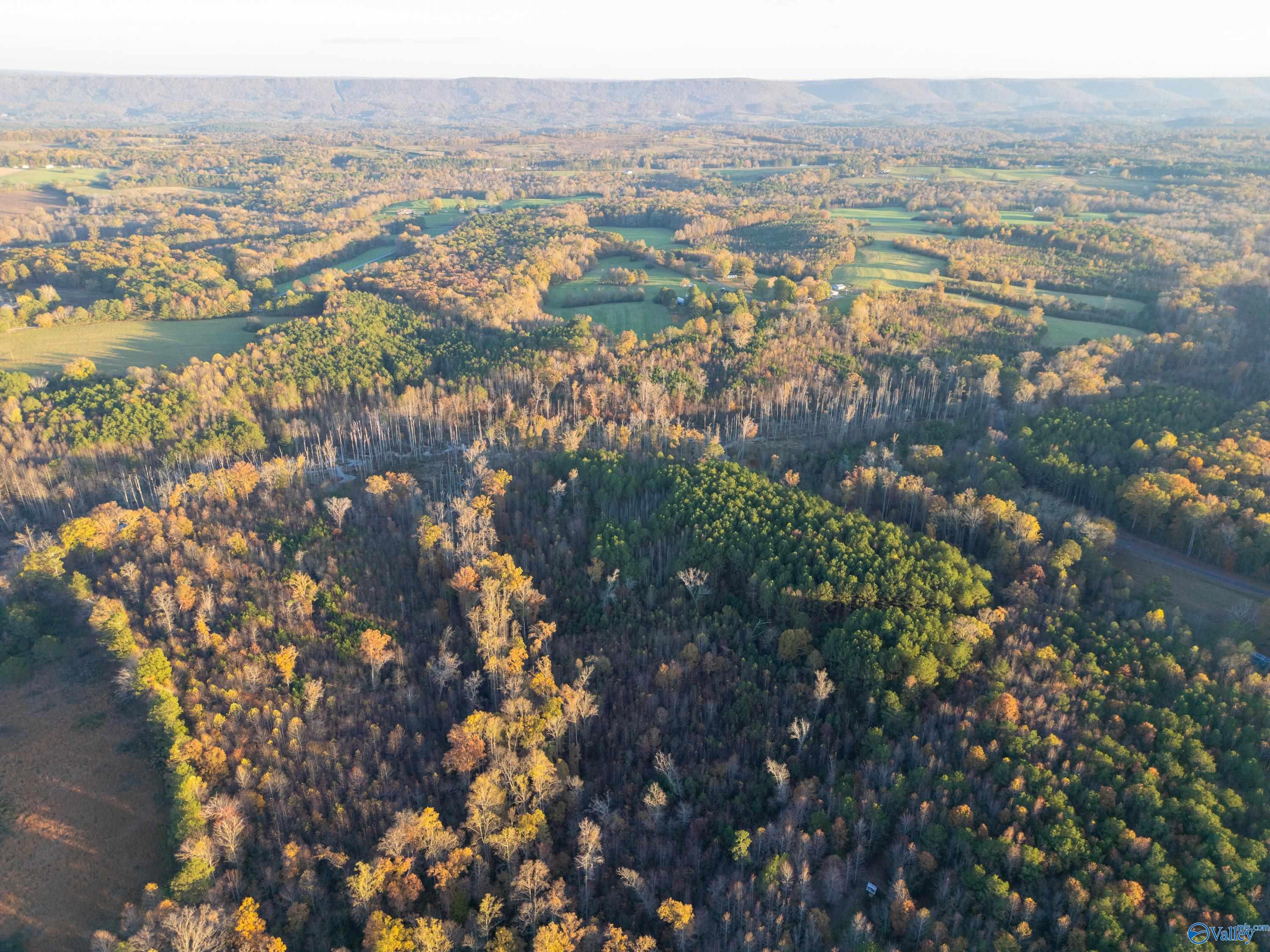 198 Acres County Road 143, Valley Head, Alabama image 12