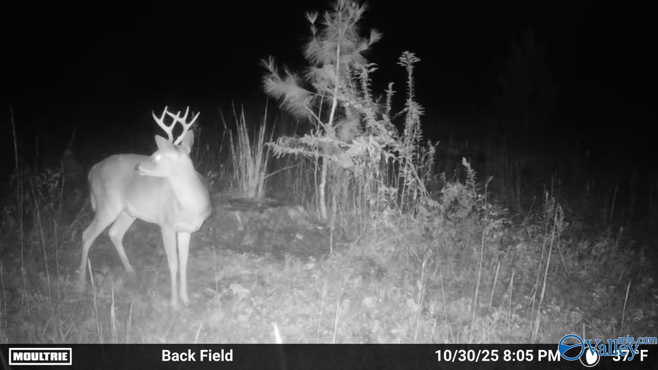 12310 County Road 7