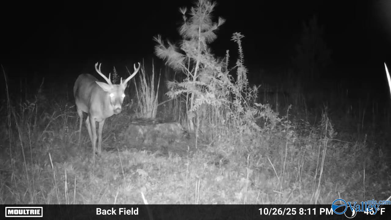 12310 County Road 7