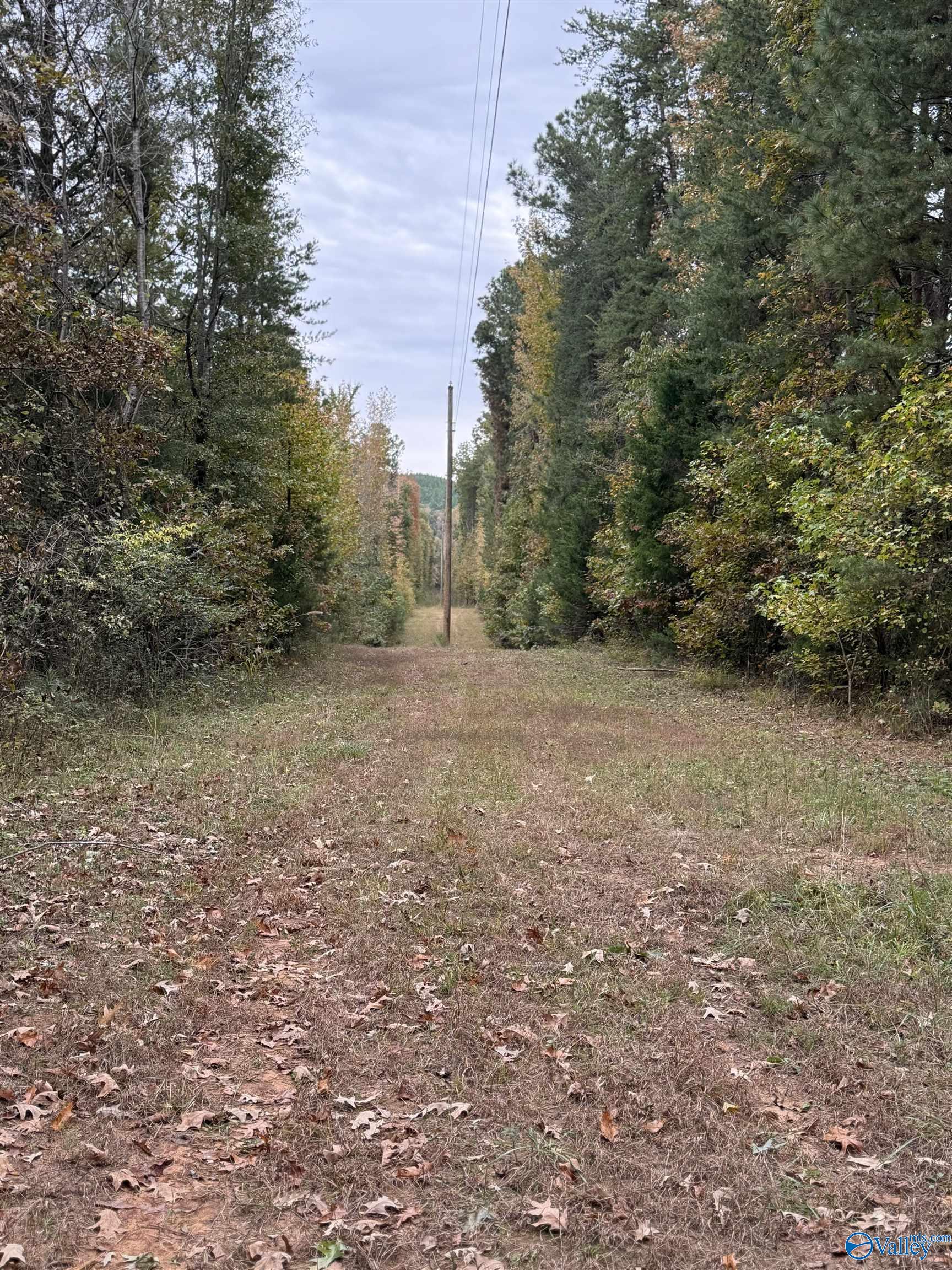 12310 County Road 7