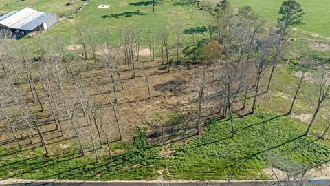 Lot 20 Garrett Street Rainsville AL 35986