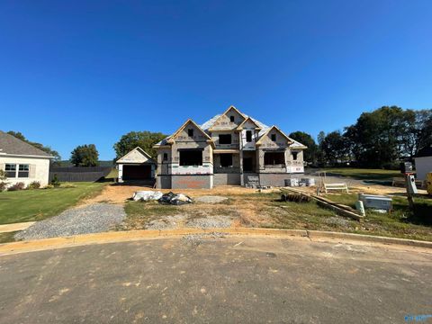 107 Cotton Seed Court New Market AL 35761