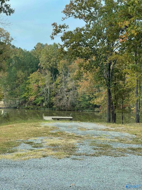 Vacant Land For Sale - 30-31 County Road 819<br/> Cherokee County, Cedar Bluff, AL 35959