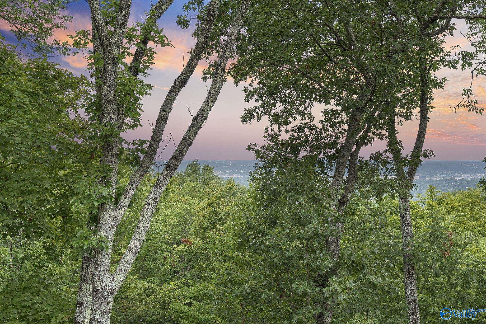 Huntsville, Alabama 35801, United States, 7 Bedrooms Bedrooms, ,6 BathroomsBathrooms,Residential,Active,188524