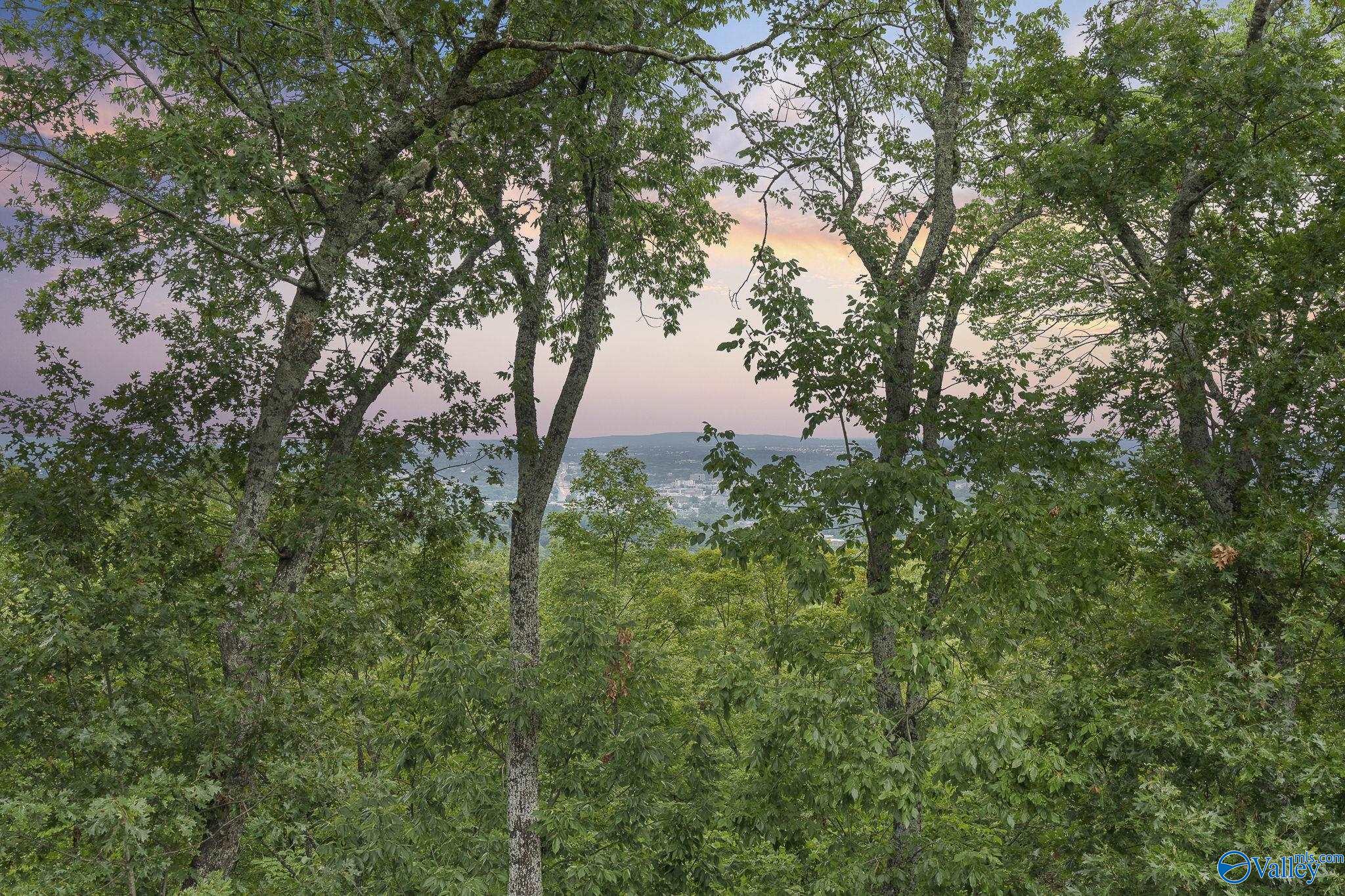 Huntsville, Alabama 35801, United States, 7 Bedrooms Bedrooms, ,6 BathroomsBathrooms,Residential,Active,188524