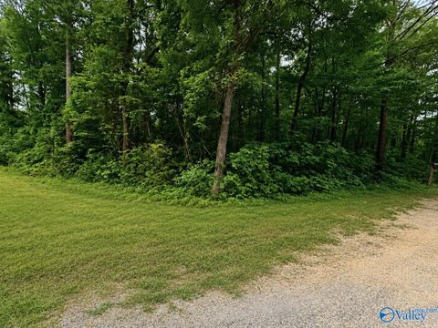 Vacant Land For Sale - LOT 36 County Road 683<br/> Cherokee County, Cedar Bluff, AL 35959