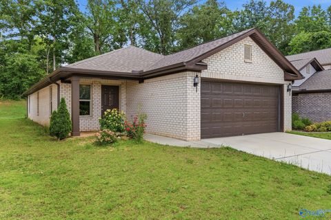 Photo of 14524 Ravenel Drive, Harvest, AL 35749 (MLS # 21919472)