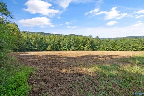 Vacant Land For Sale - 3818 -5 County Road 4 #TRACT 5<br/> Hollytree, AL 35751