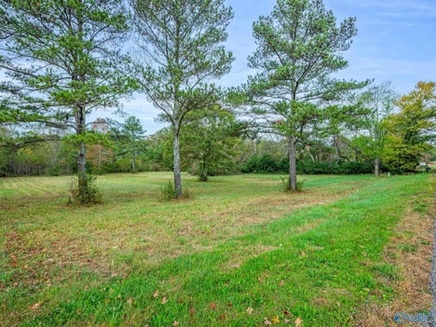 Vacant Land For Sale - TRACT 1 County Road 165<br/> Rogersville, AL 35652