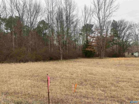 Vacant Land For Sale - 1881 Quarry Road<br/> Union Grove, AL 35175