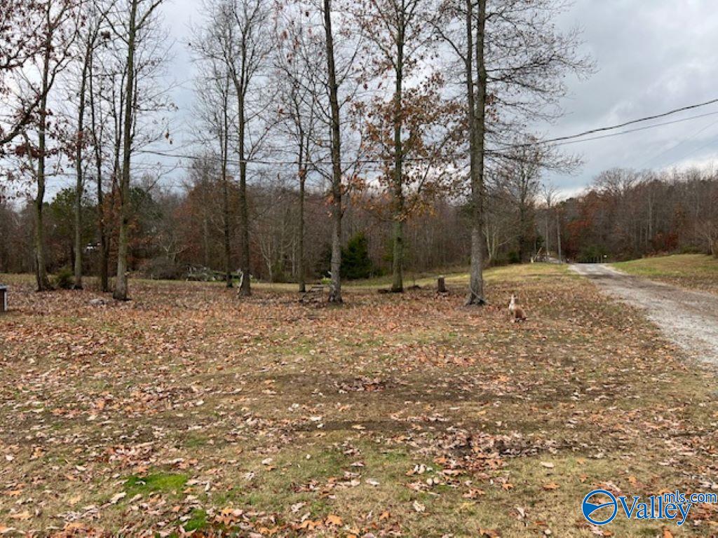 80 Vincent Rd, Eva, Alabama image 7