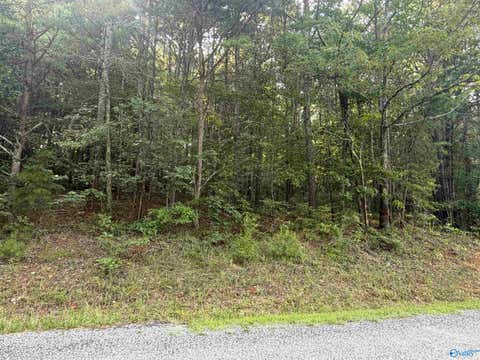 Vacant Land For Sale - LOT 7 Yellow Creek Drive<br/> Leesburg, AL 35983