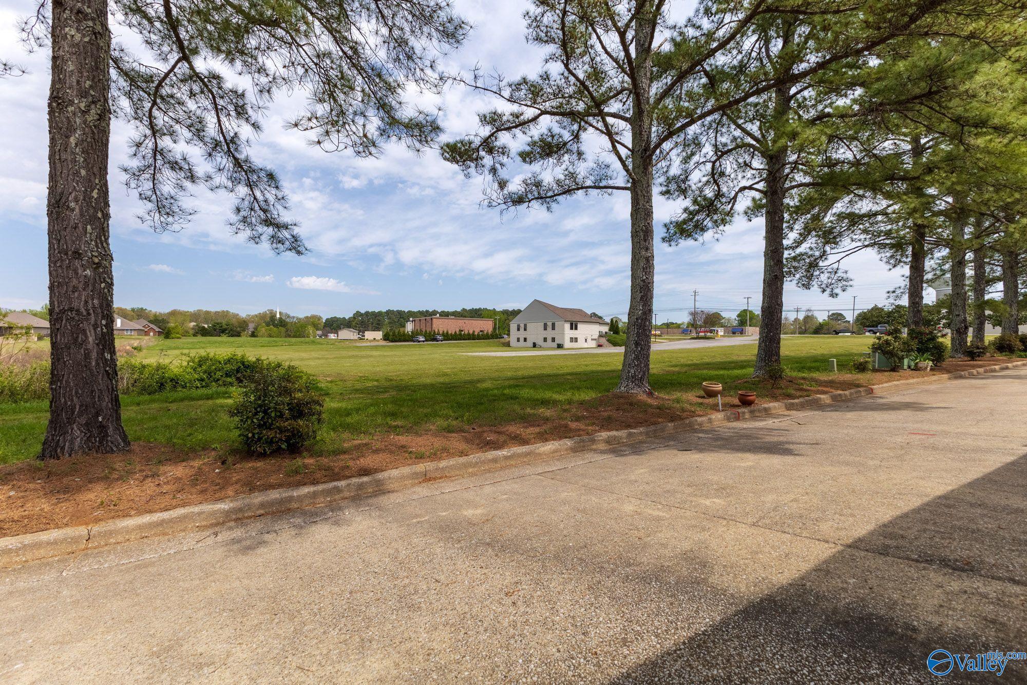 21929 Williamsburg Drive, Athens, Alabama image 18