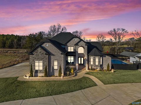 Homes For Sale - 3720 South Chapel Hill Road<br/> Decatur, AL 35603
