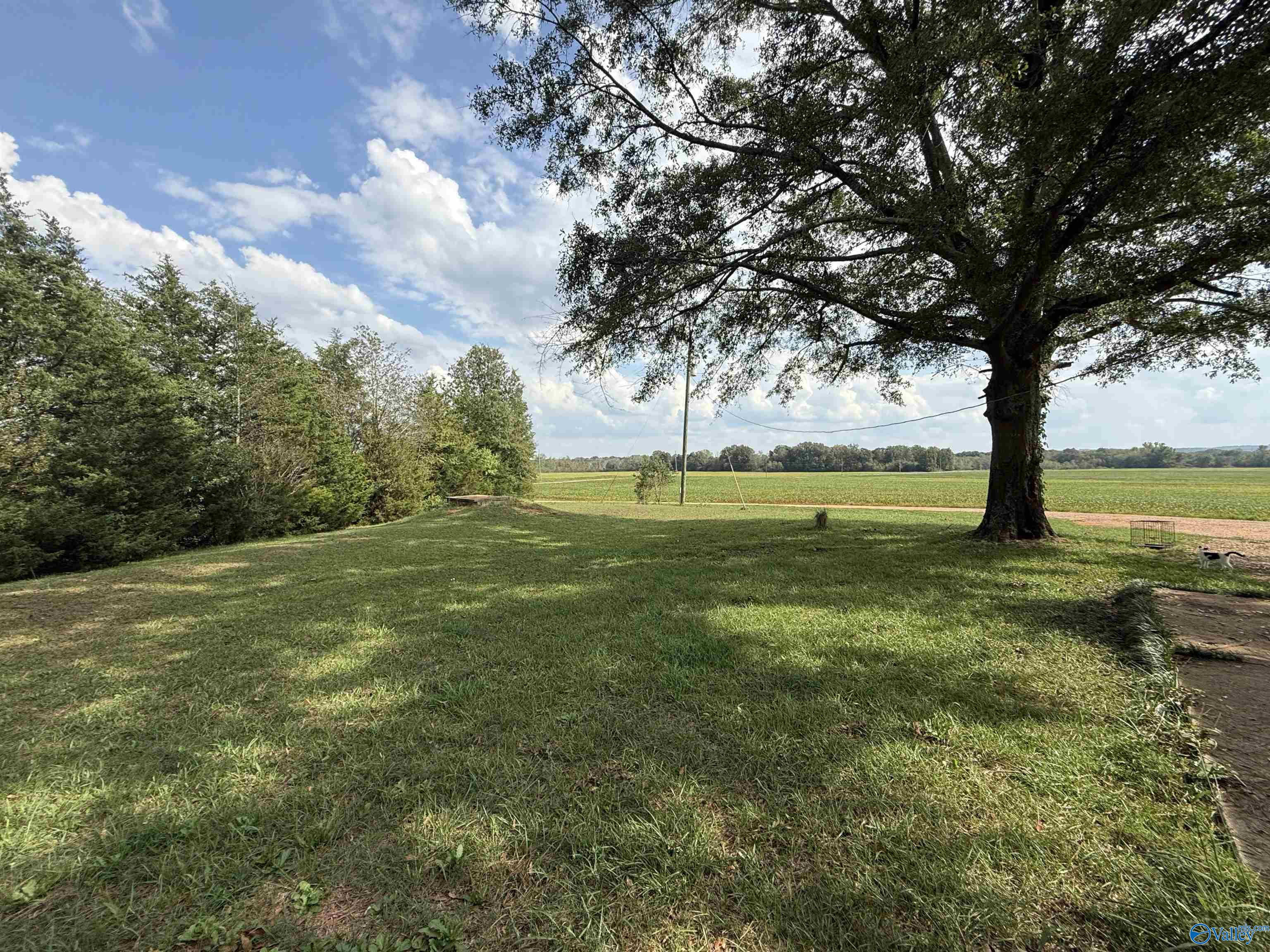 1667 County Road 164, Moulton, Alabama image 3