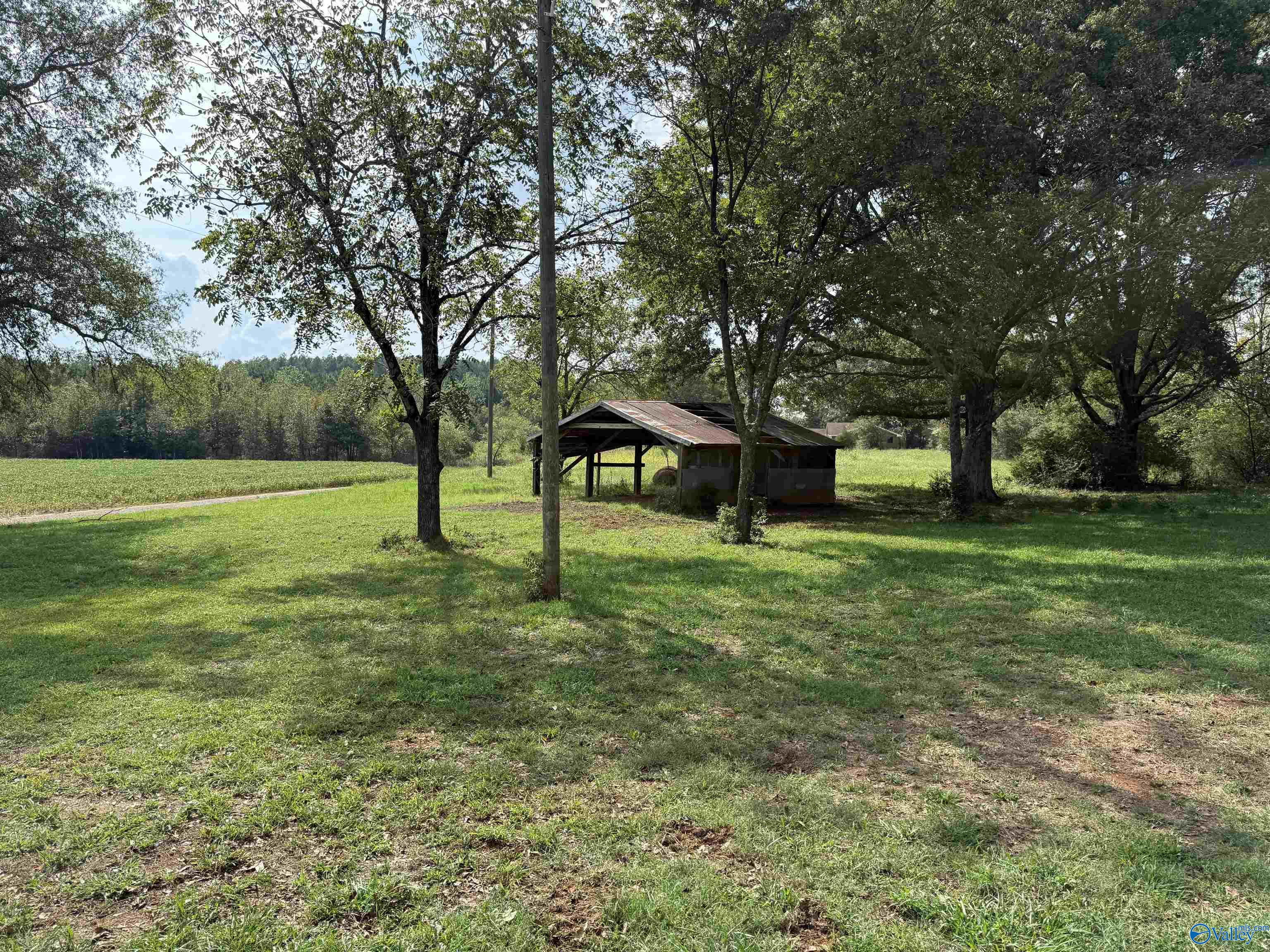 1667 County Road 164, Moulton, Alabama image 14