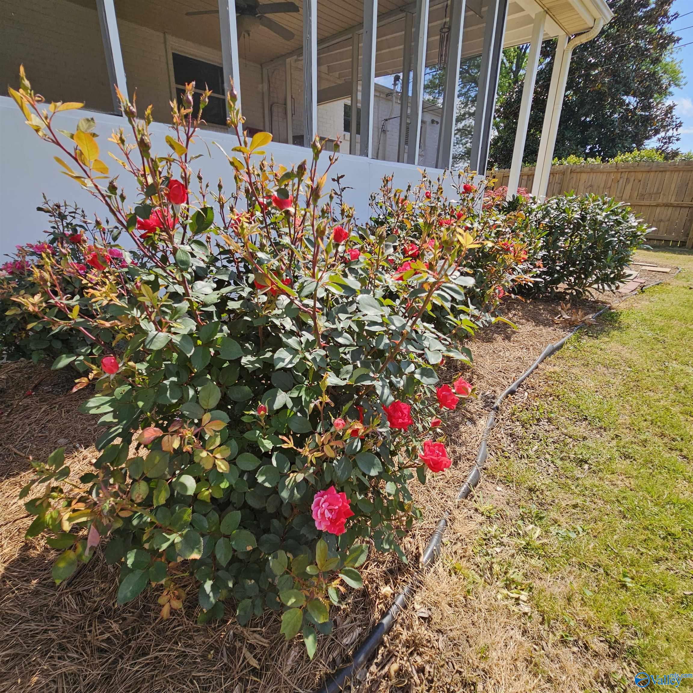 2205 Pennylane, Decatur, Alabama image 22