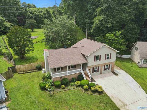 Homes For Sale - 222 Frances Amelia Drive<br/> Huntsville, AL 35811