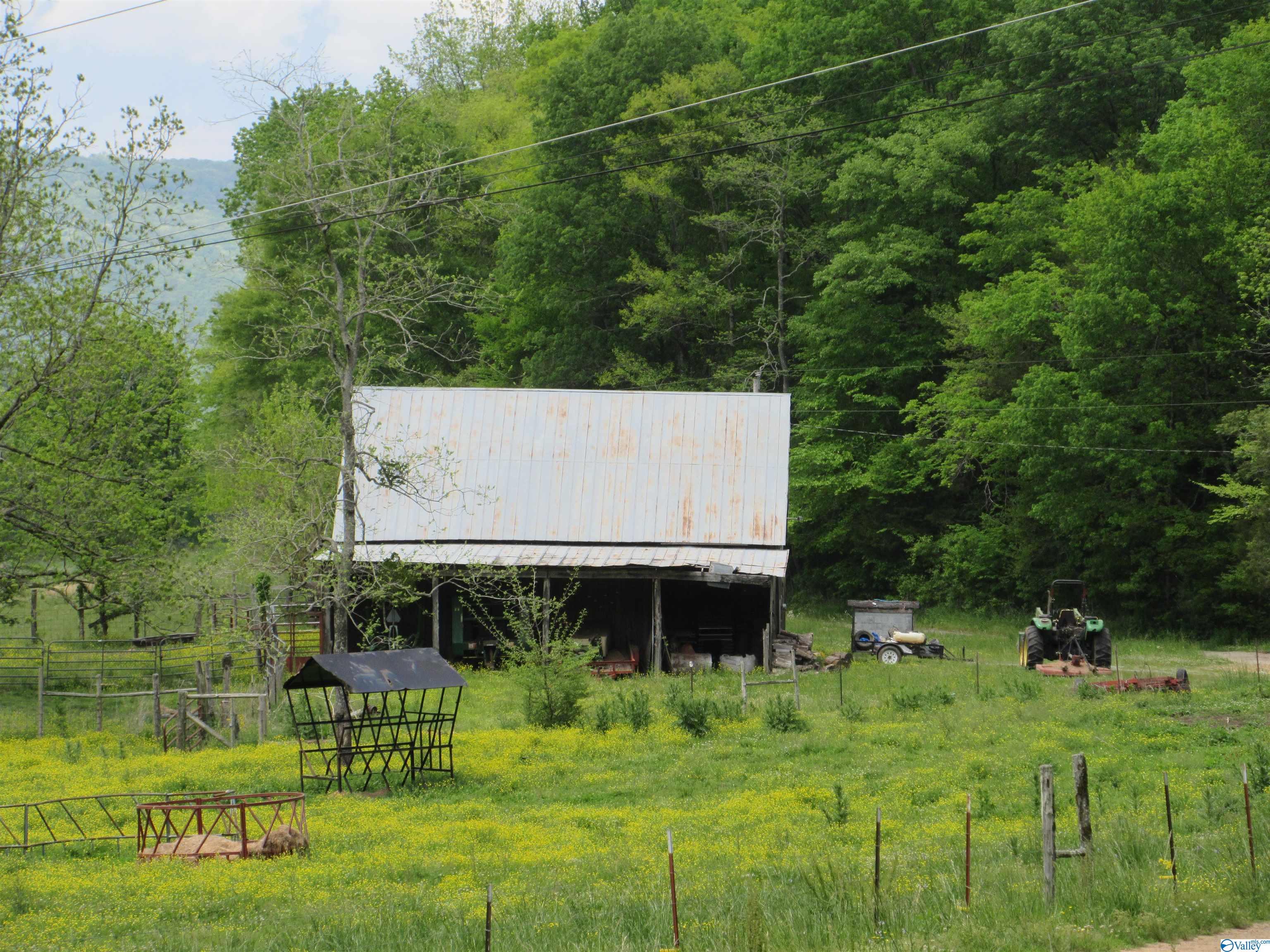 178 County Road 142, Princeton, Alabama image 20