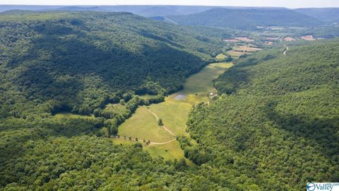 Vacant Land For Sale - 178 County Road 142<br/> Jackson County, Princeton, AL 35766