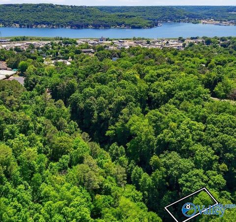 Vacant Land For Sale - LOT 8 Lusk Street<br/> Guntersville, AL 35976