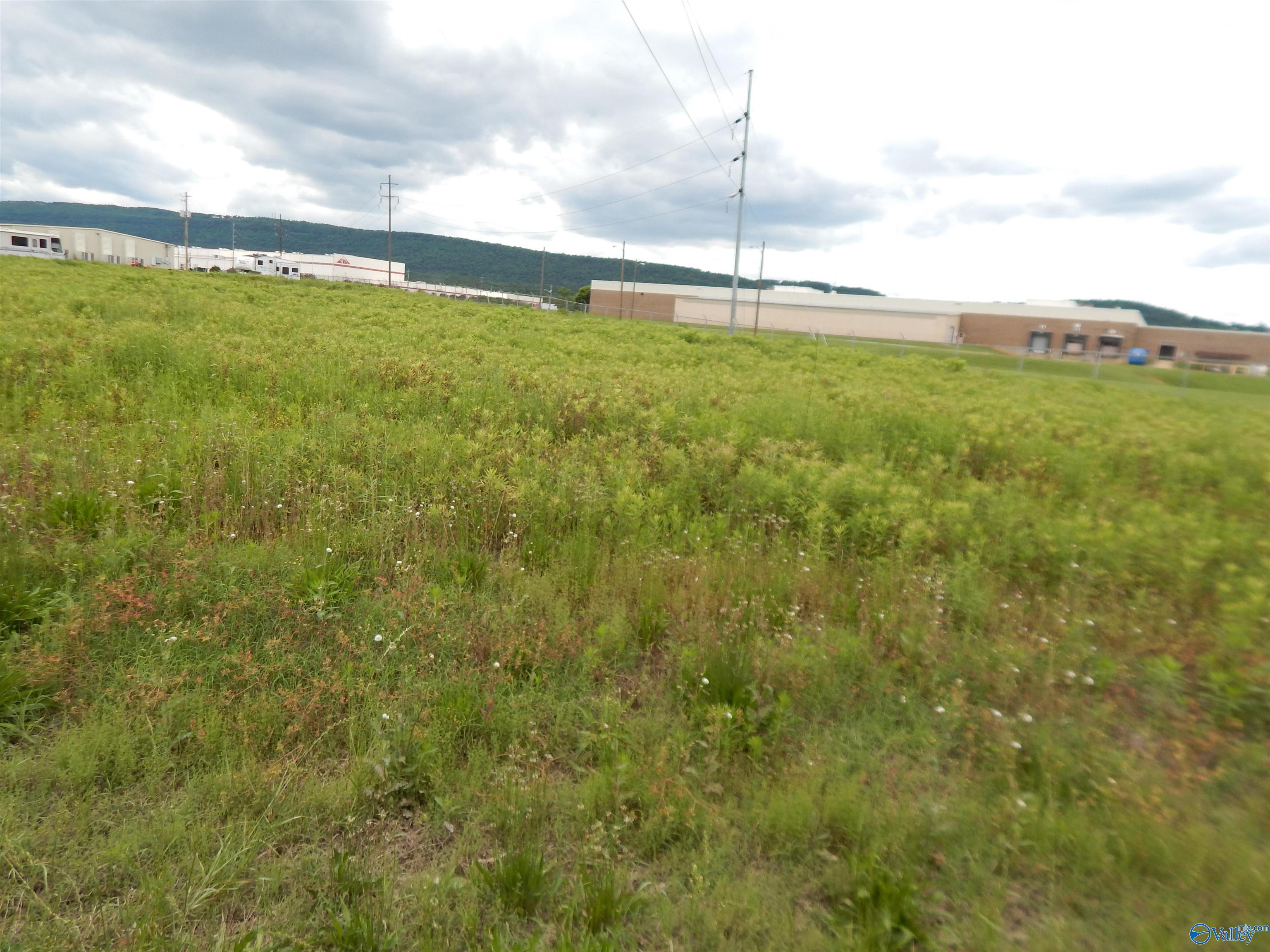 1.48 Acres Holman Street, Leesburg, Alabama image 1