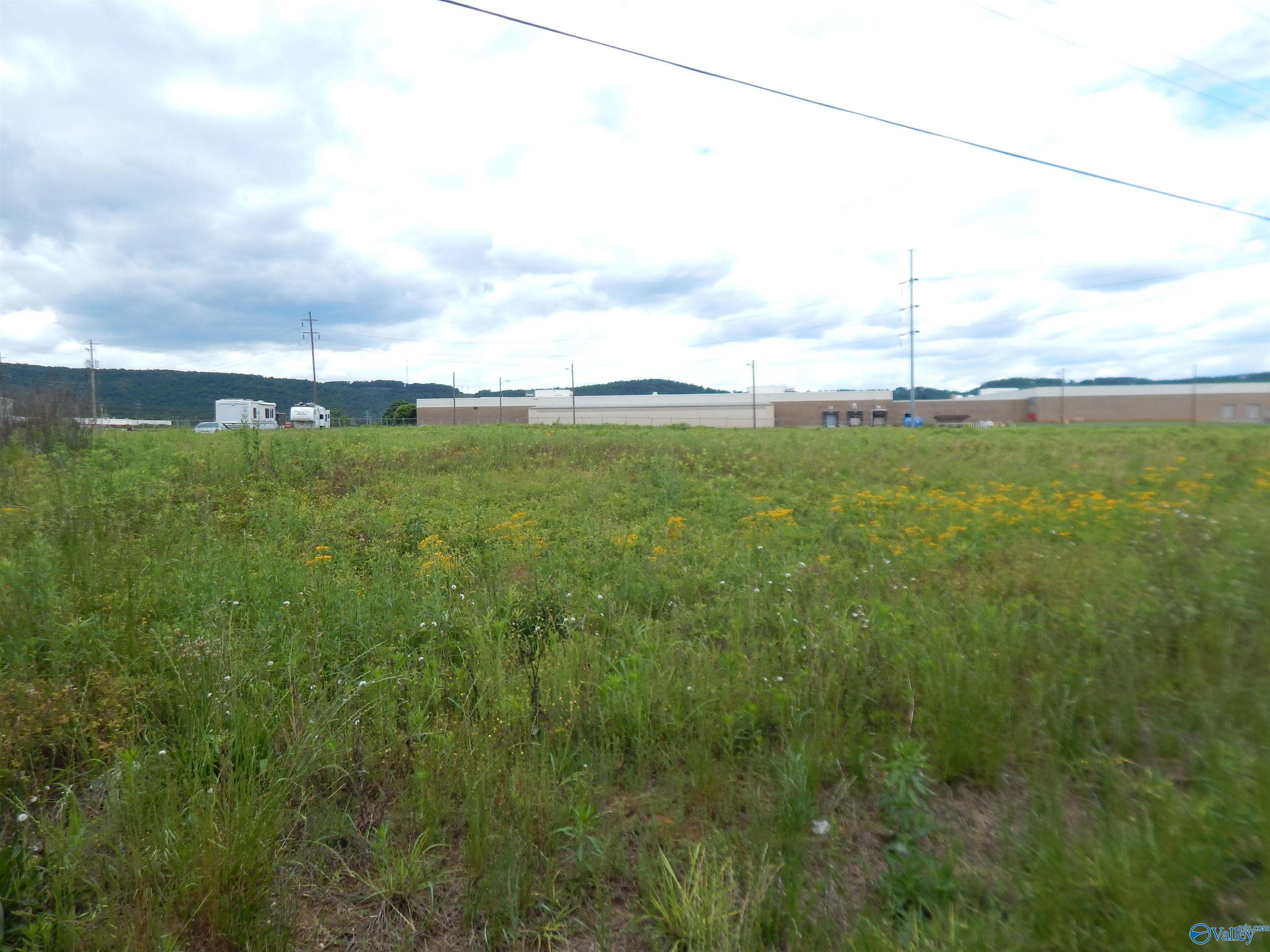1.48 Acres Holman Street, Leesburg, Alabama image 7