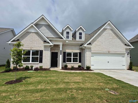 Homes For Sale - 220 Roman Randall Road<br/> Madison County, New Market, AL 35761
