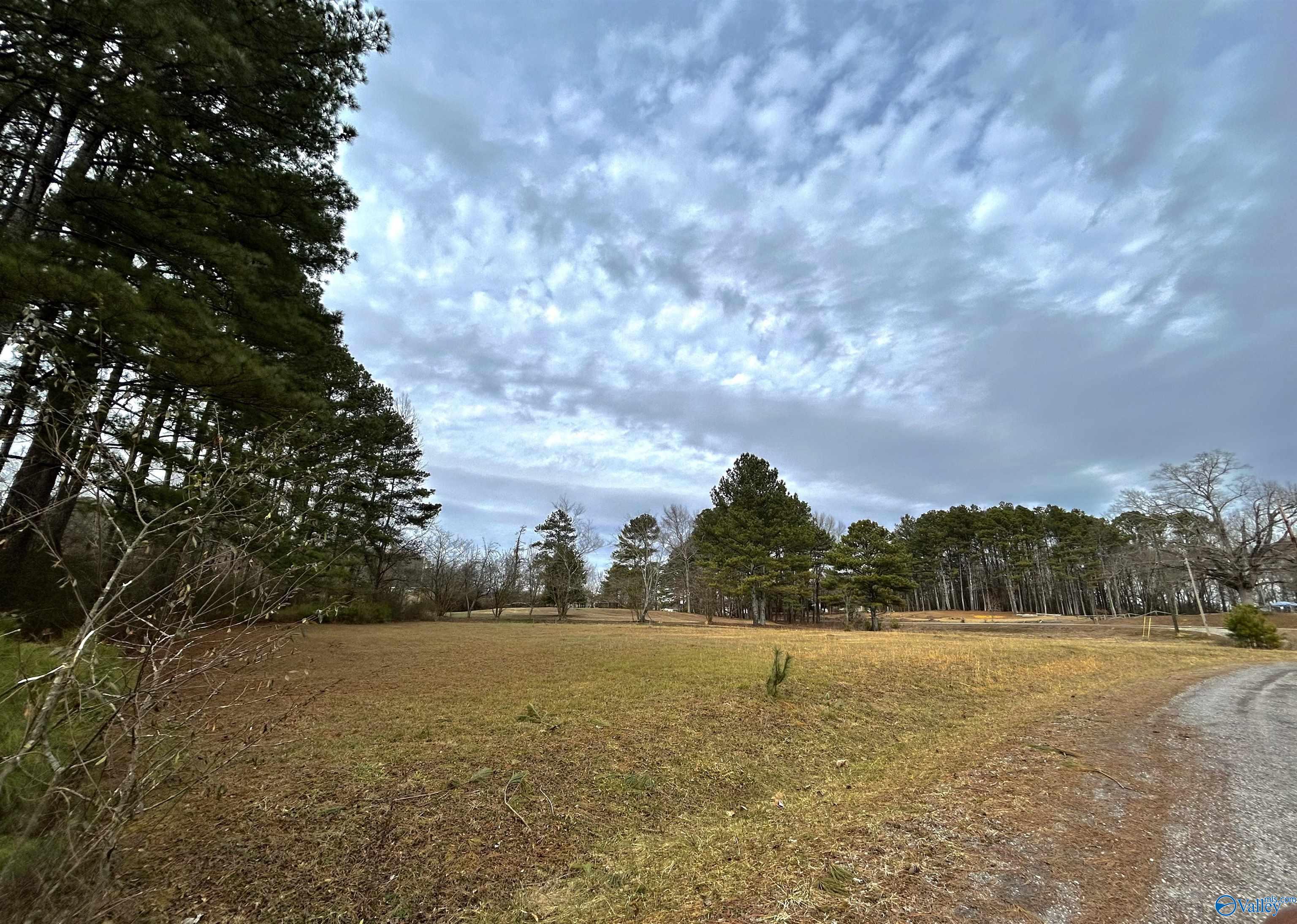 Lot 7 Woodland Road, Boaz, Alabama image 1