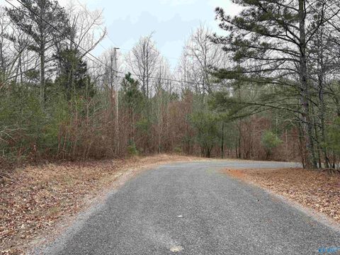 Vacant Land For Sale - LOTS 30&31 Chawnee Circle<br/> Jackson County, Scottsboro, AL 35768