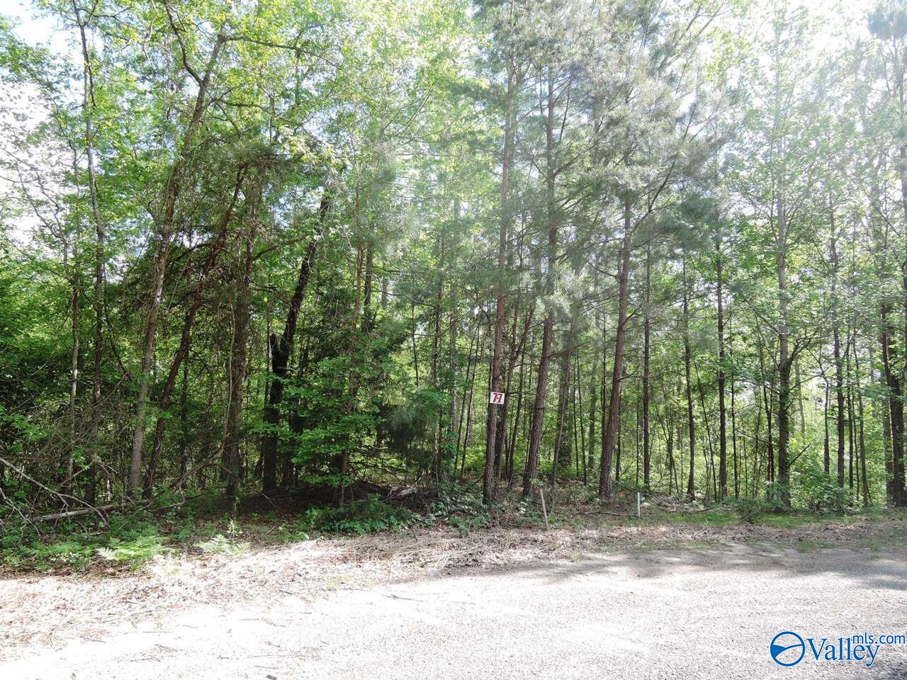 Lot 77 Broken Arrow, Jasper, Alabama image 1