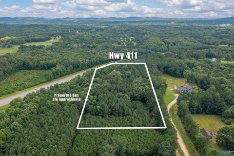 Vacant Land For Sale - 1 First Avenue<br/> Gadsden, AL 35901