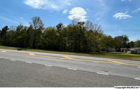 Vacant Land For Sale - NA Chesnut Bypass<br/> Cherokee County, Centre, AL 35960
