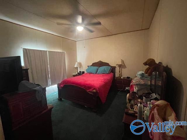 102 Pine Ridge Road, Wedowee, Alabama image 16