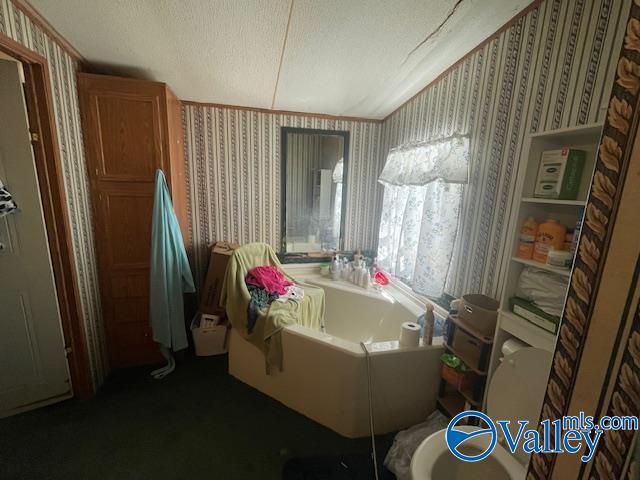 102 Pine Ridge Road, Wedowee, Alabama image 18