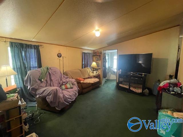 102 Pine Ridge Road, Wedowee, Alabama image 15