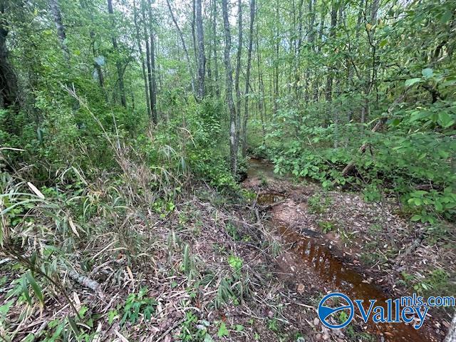 102 Pine Ridge Road, Wedowee, Alabama image 20