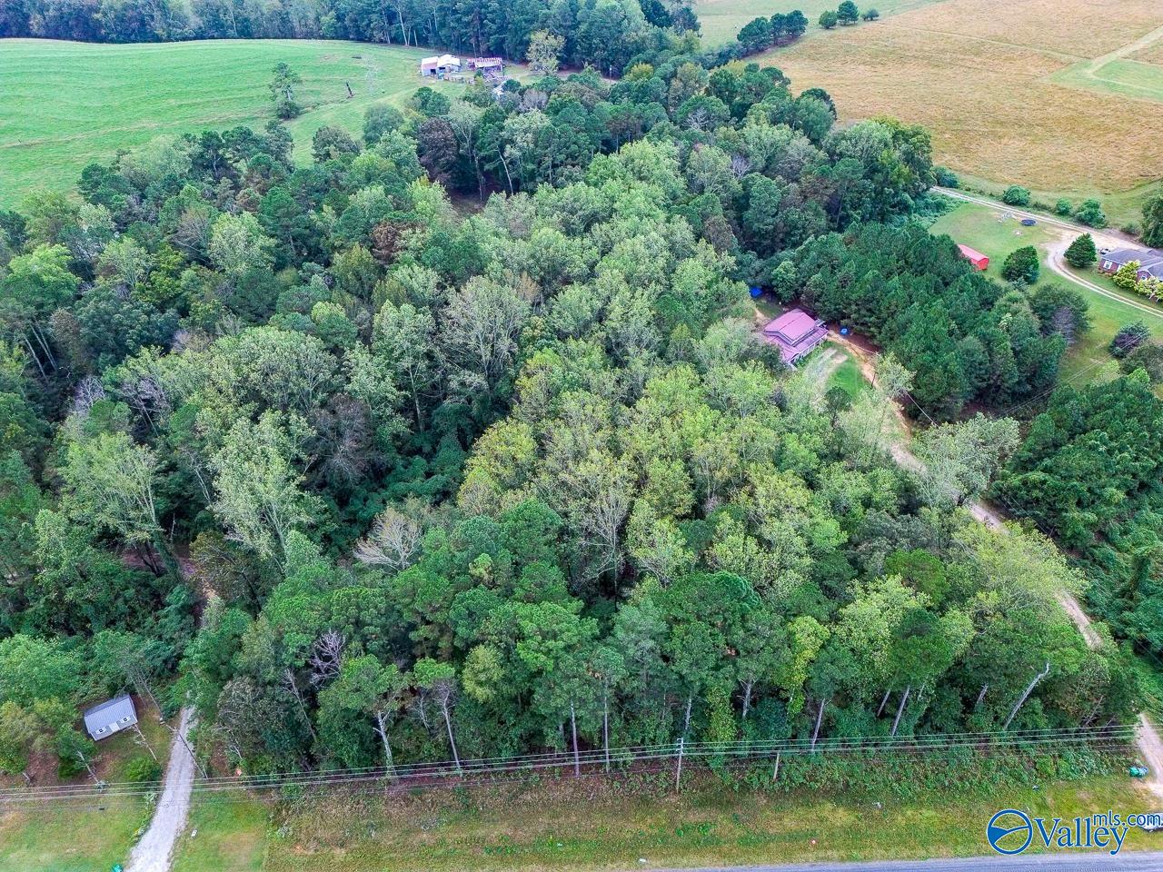 4.29 Alabama Highway 157