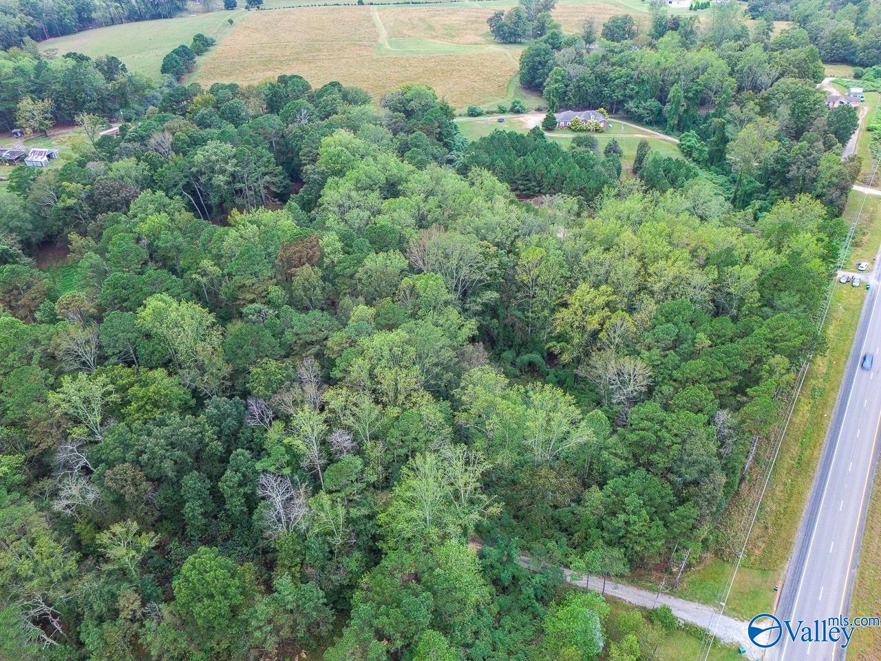 4.29 Alabama Highway 157